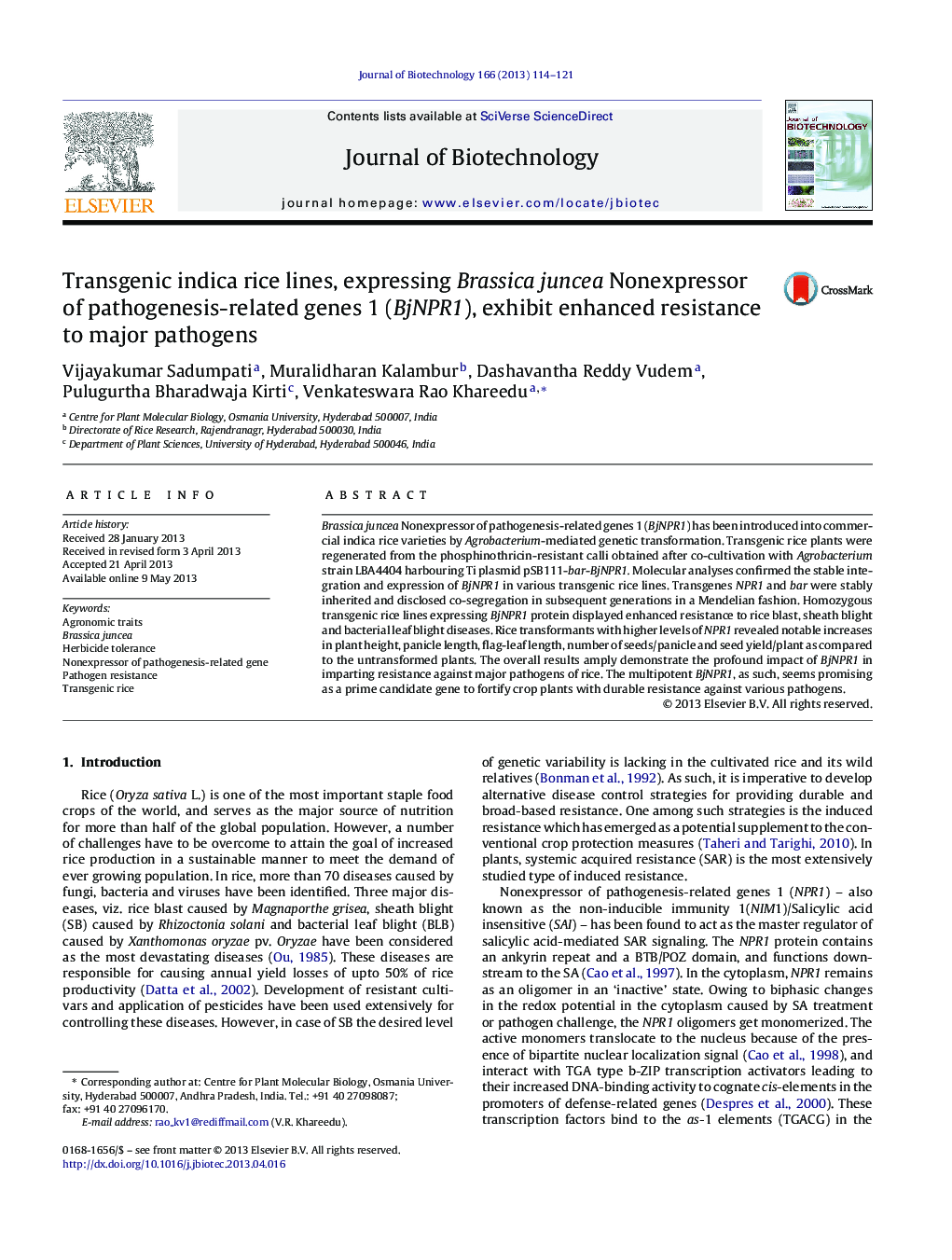 Transgenic indica rice lines, expressing Brassica juncea Nonexpressor of pathogenesis-related genes 1 (BjNPR1), exhibit enhanced resistance to major pathogens