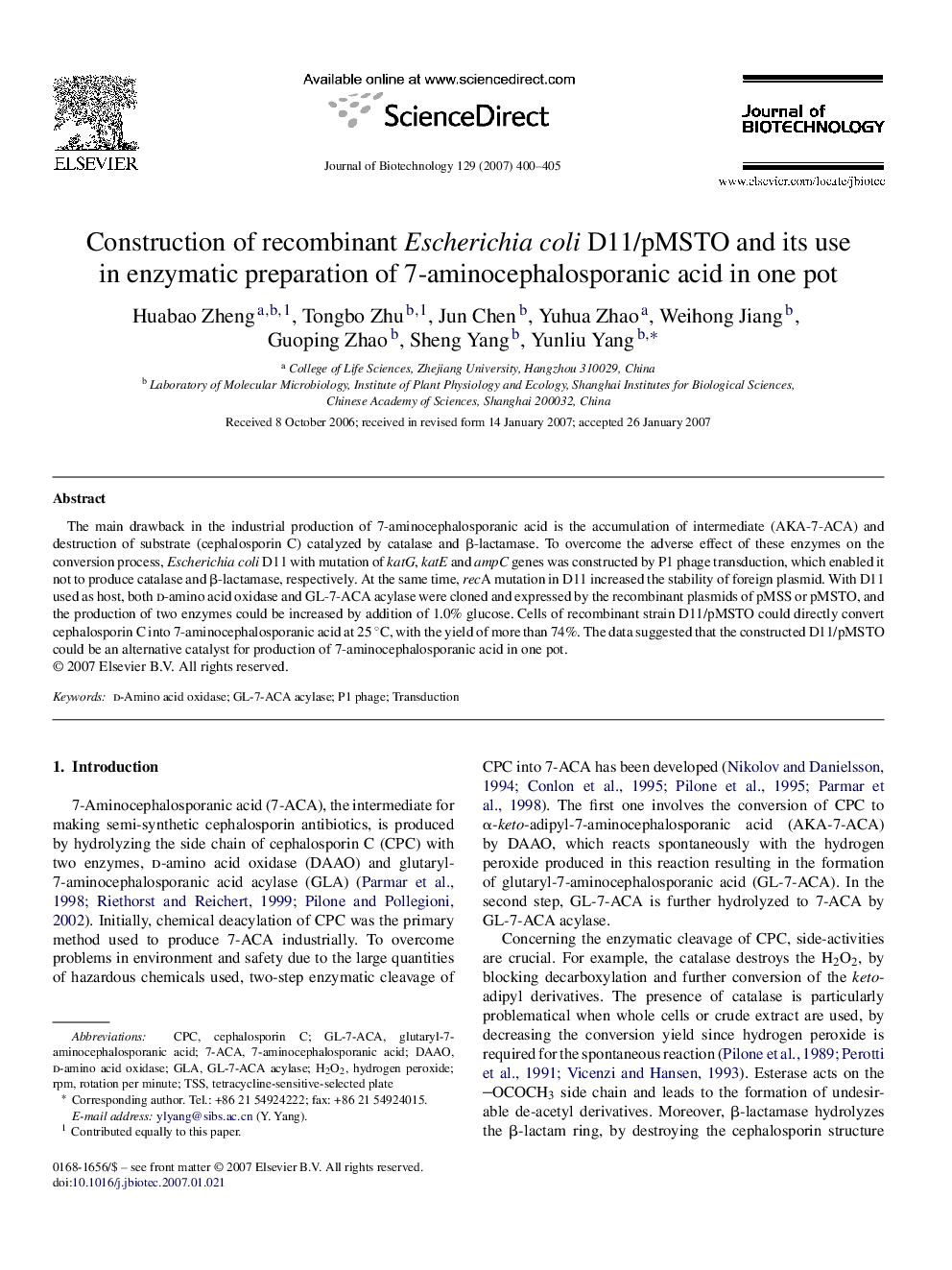 Construction of recombinant Escherichia coli D11/pMSTO and its use in enzymatic preparation of 7-aminocephalosporanic acid in one pot