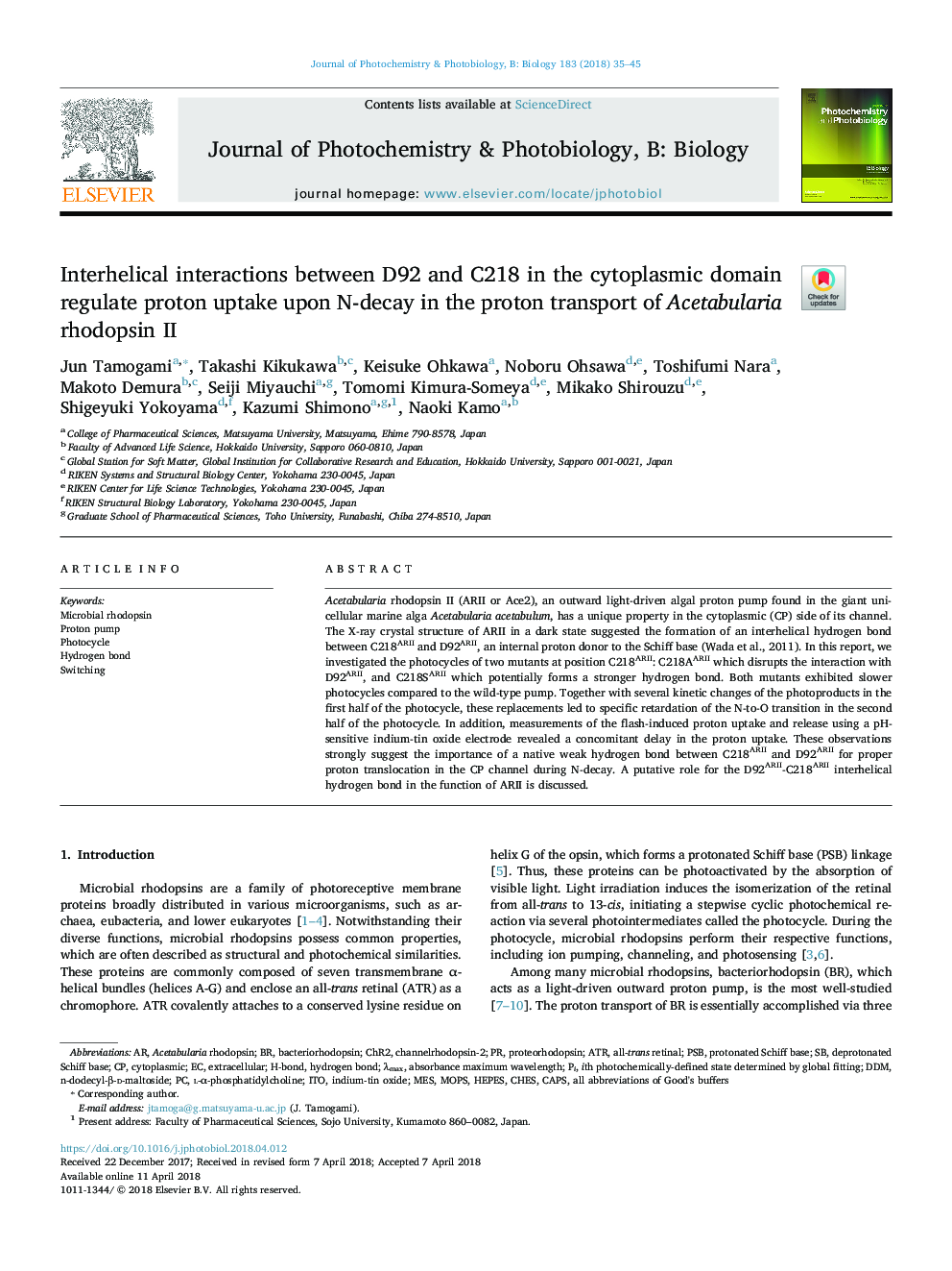 Interhelical interactions between D92 and C218 in the cytoplasmic domain regulate proton uptake upon N-decay in the proton transport of Acetabularia rhodopsin II