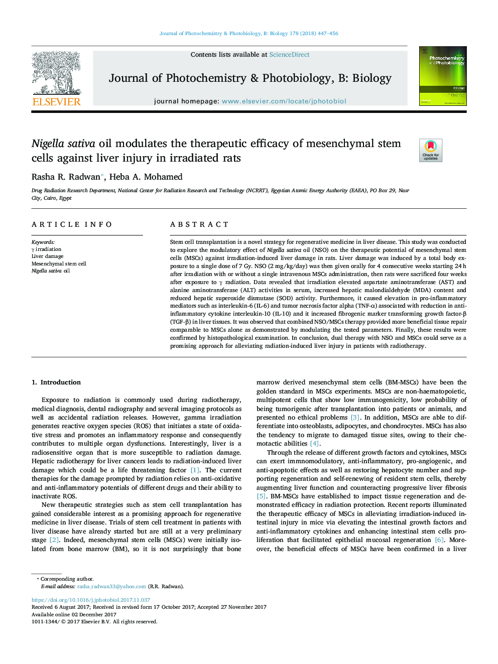 Nigella sativa oil modulates the therapeutic efficacy of mesenchymal stem cells against liver injury in irradiated rats