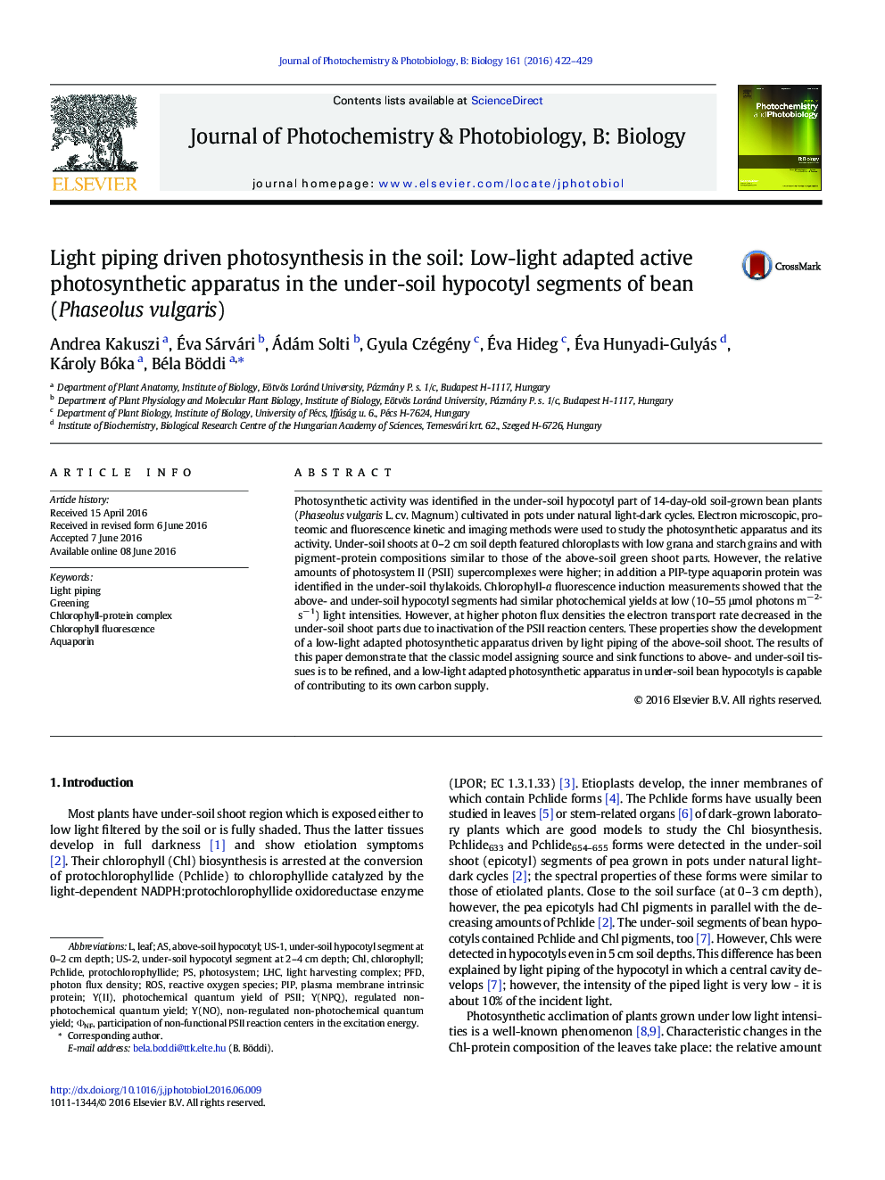 Light piping driven photosynthesis in the soil: Low-light adapted active photosynthetic apparatus in the under-soil hypocotyl segments of bean (Phaseolus vulgaris)