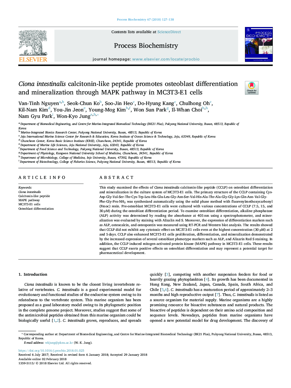 Ciona intestinalis calcitonin-like peptide promotes osteoblast differentiation and mineralization through MAPK pathway in MC3T3-E1 cells