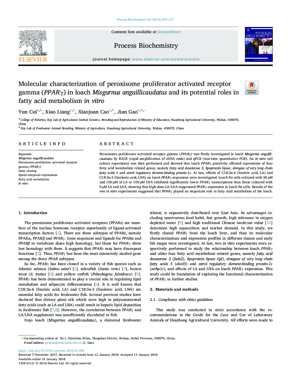 Molecular characterization of peroxisome proliferator activated receptor gamma (PPARÎ³) in loach Misgurnus anguillicaudatus and its potential roles in fatty acid metabolism in vitro