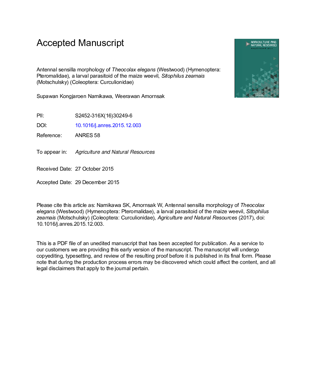 Antennal sensilla morphology of Theocolax elegans (Westwood) (Hymenoptera: Pteromalidae), a larval parasitoid of the maize weevil, Sitophilus zeamais (Motschulsky) (Coleoptera: Curculionidae)