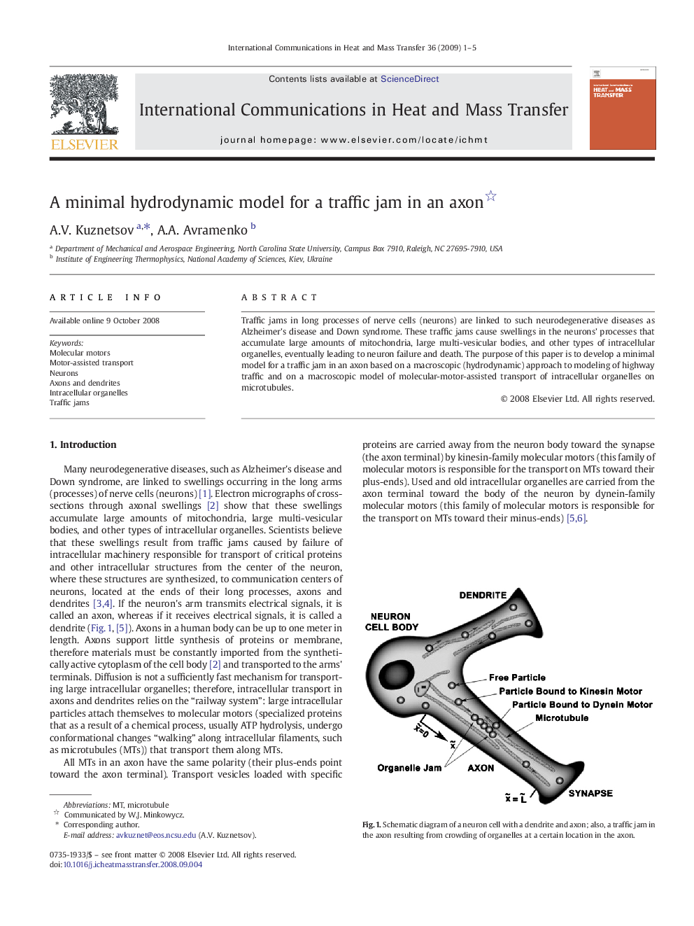 A minimal hydrodynamic model for a traffic jam in an axon 