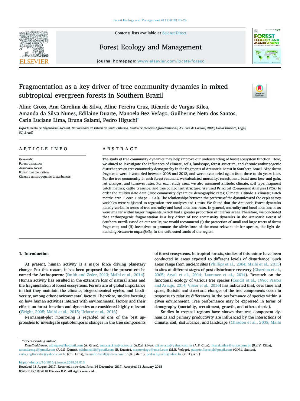 Fragmentation as a key driver of tree community dynamics in mixed subtropical evergreen forests in Southern Brazil