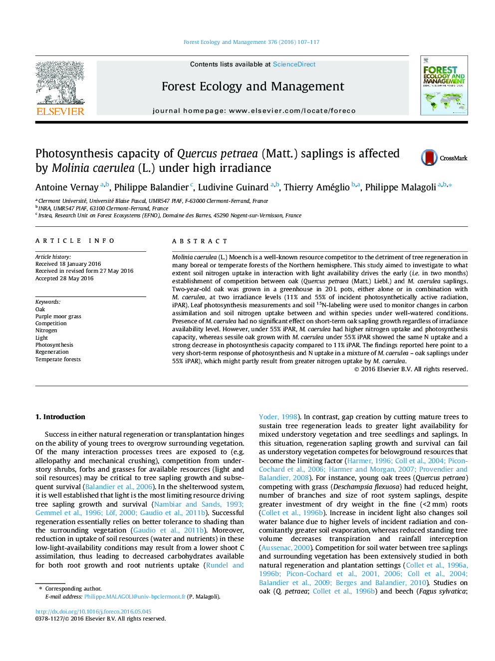 Photosynthesis capacity of Quercus petraea (Matt.) saplings is affected by Molinia caerulea (L.) under high irradiance