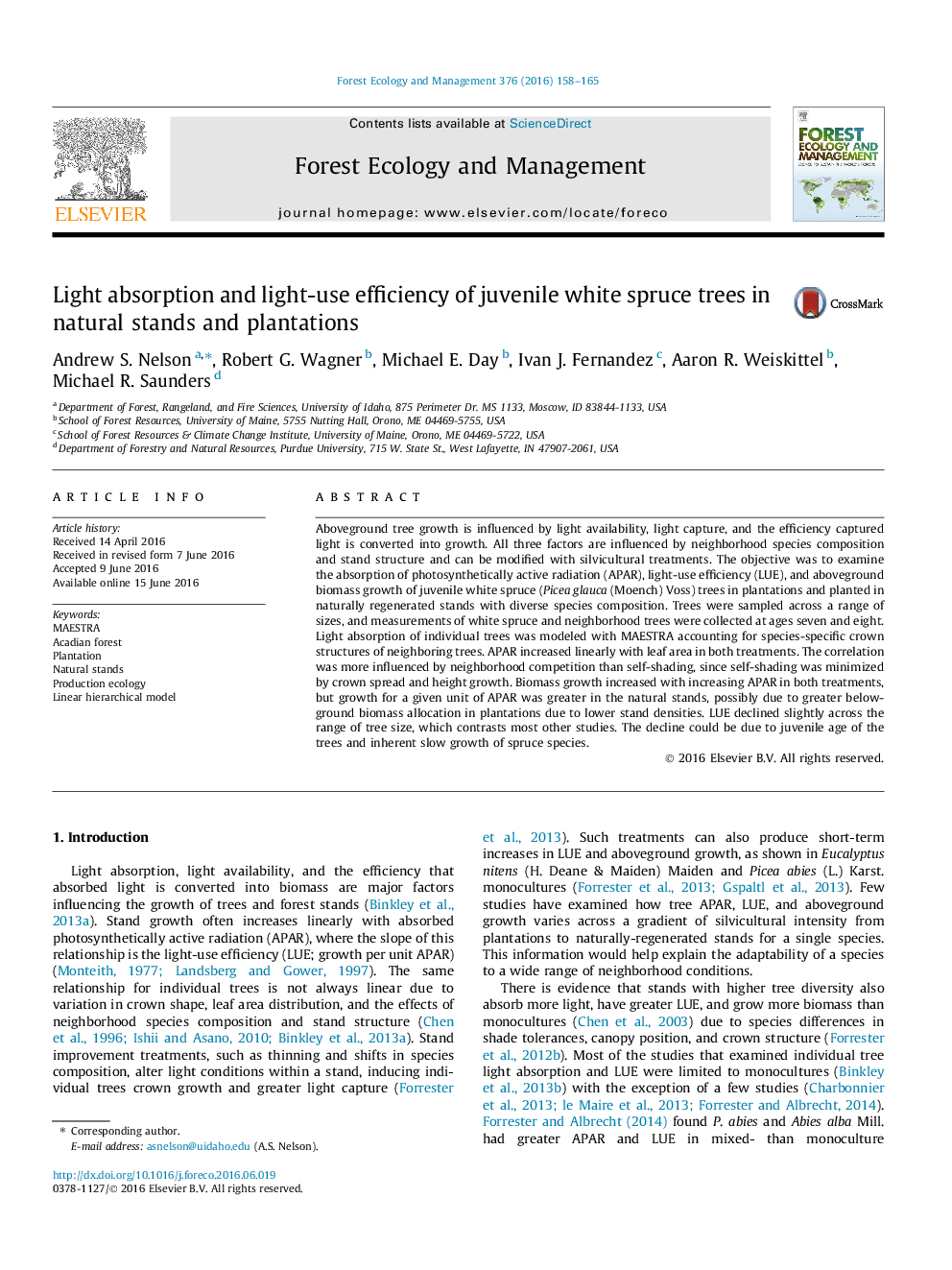 Light absorption and light-use efficiency of juvenile white spruce trees in natural stands and plantations