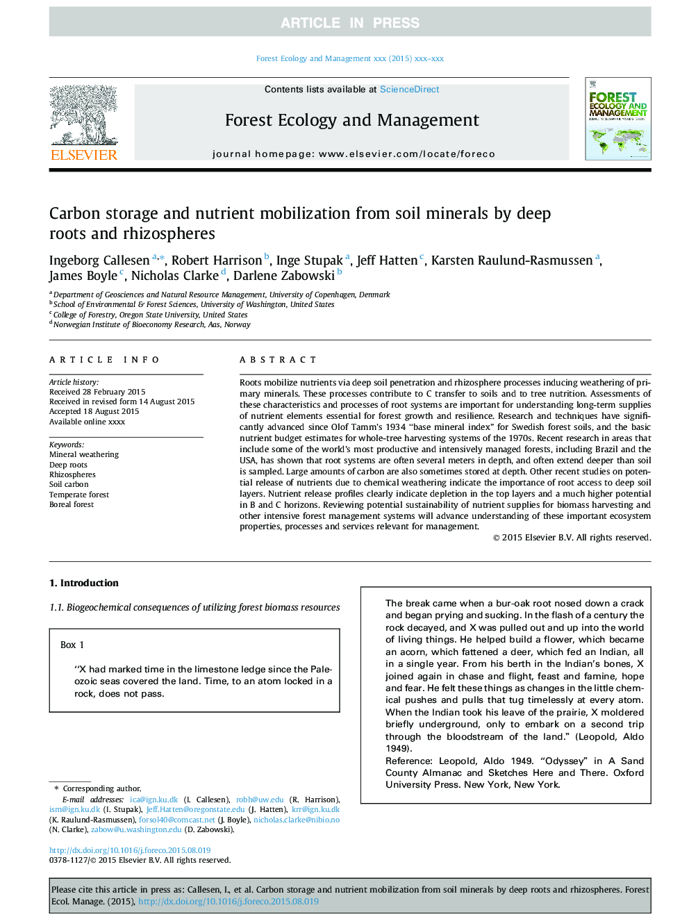 Carbon storage and nutrient mobilization from soil minerals by deep roots and rhizospheres