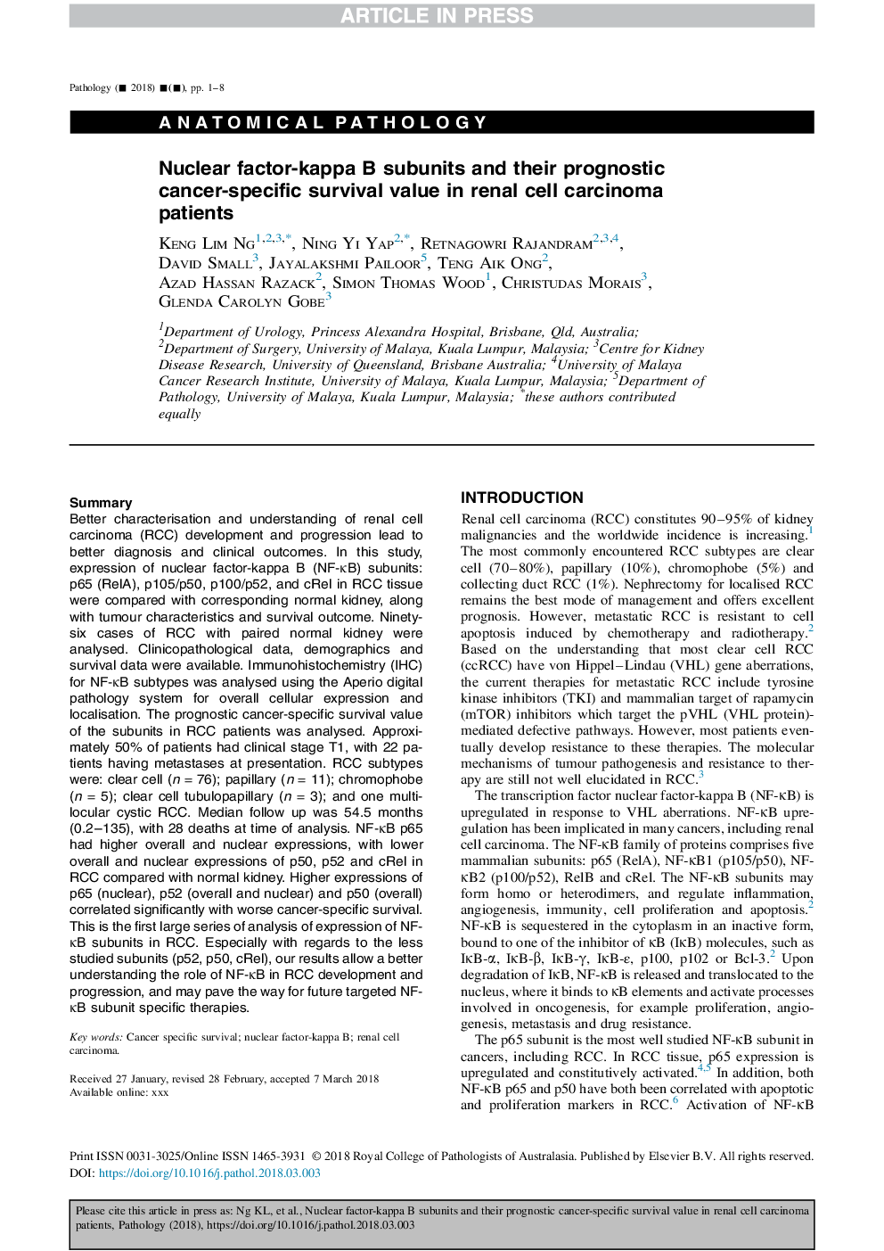 Nuclear factor-kappa B subunits and their prognostic cancer-specific survival value in renal cell carcinoma patients