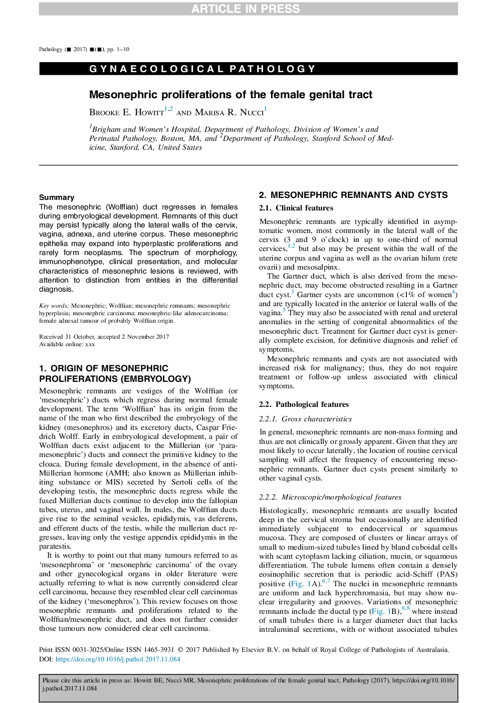 Mesonephric proliferations of the female genital tract