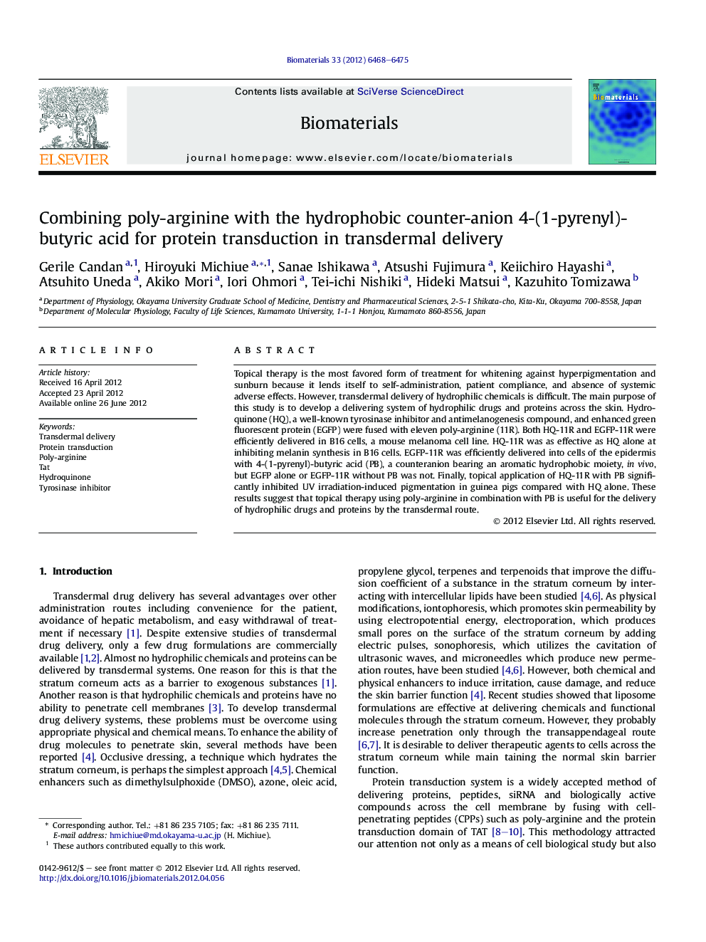 Combining poly-arginine with the hydrophobic counter-anion 4-(1-pyrenyl)-butyric acid for protein transduction in transdermal delivery