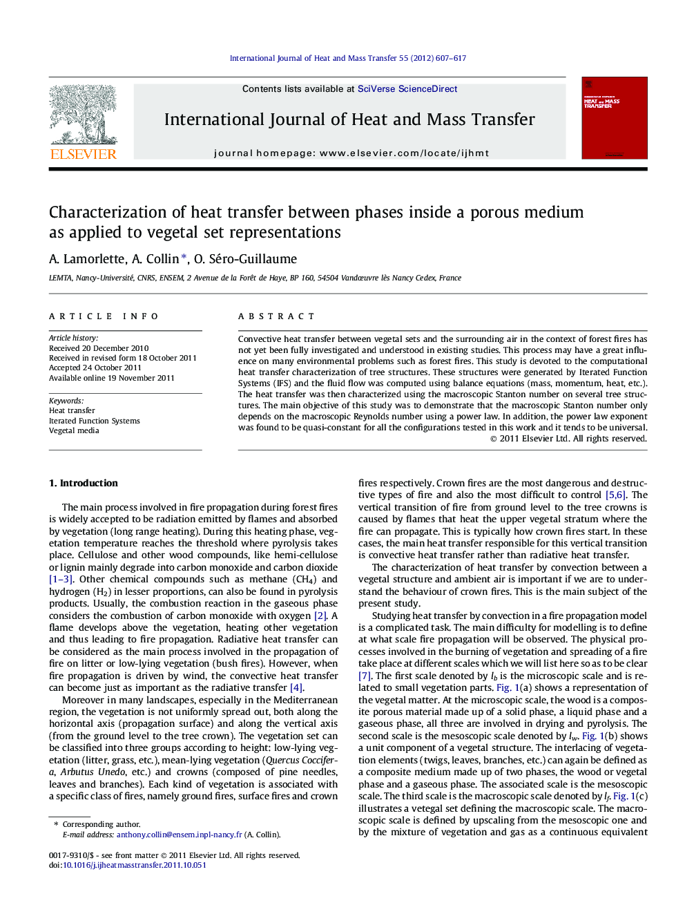 Characterization of heat transfer between phases inside a porous medium as applied to vegetal set representations