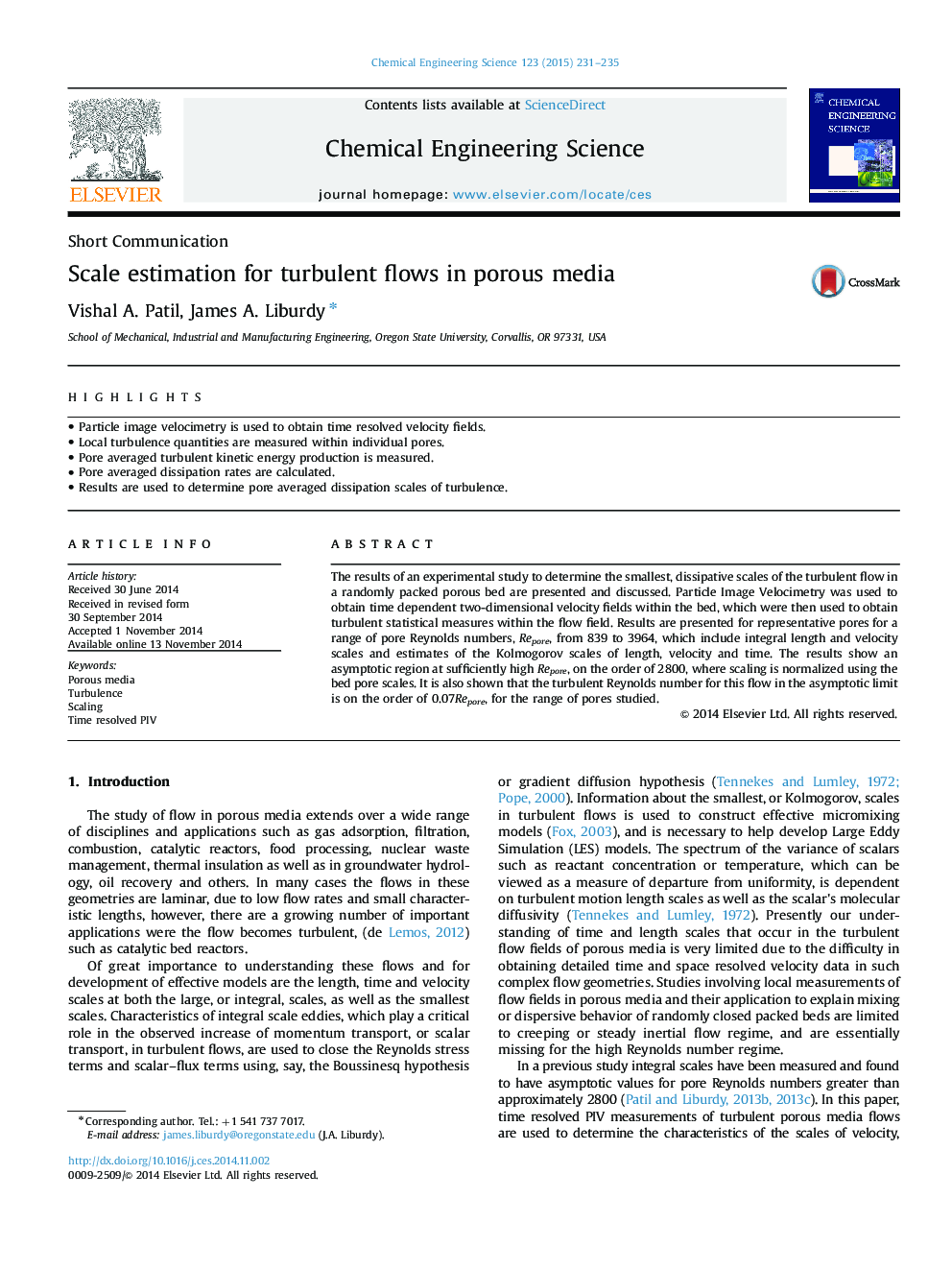 Scale estimation for turbulent flows in porous media