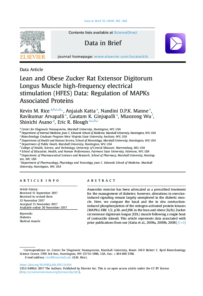 Lean and Obese Zucker Rat Extensor Digitorum Longus Muscle high-frequency electrical stimulation (HFES) Data: Regulation of MAPKs Associated Proteins