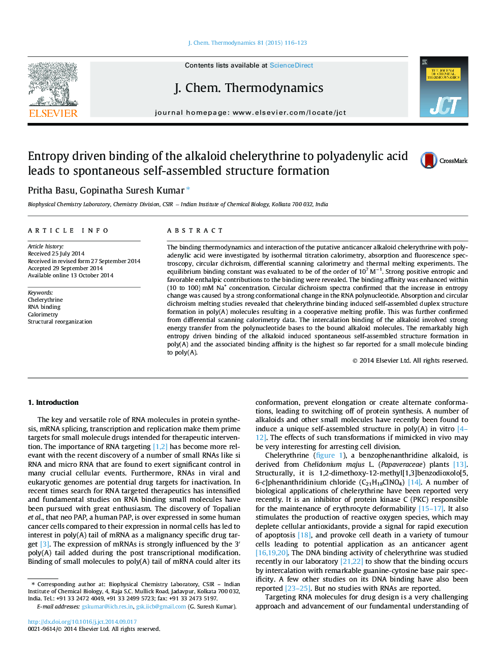 Entropy driven binding of the alkaloid chelerythrine to polyadenylic acid leads to spontaneous self-assembled structure formation