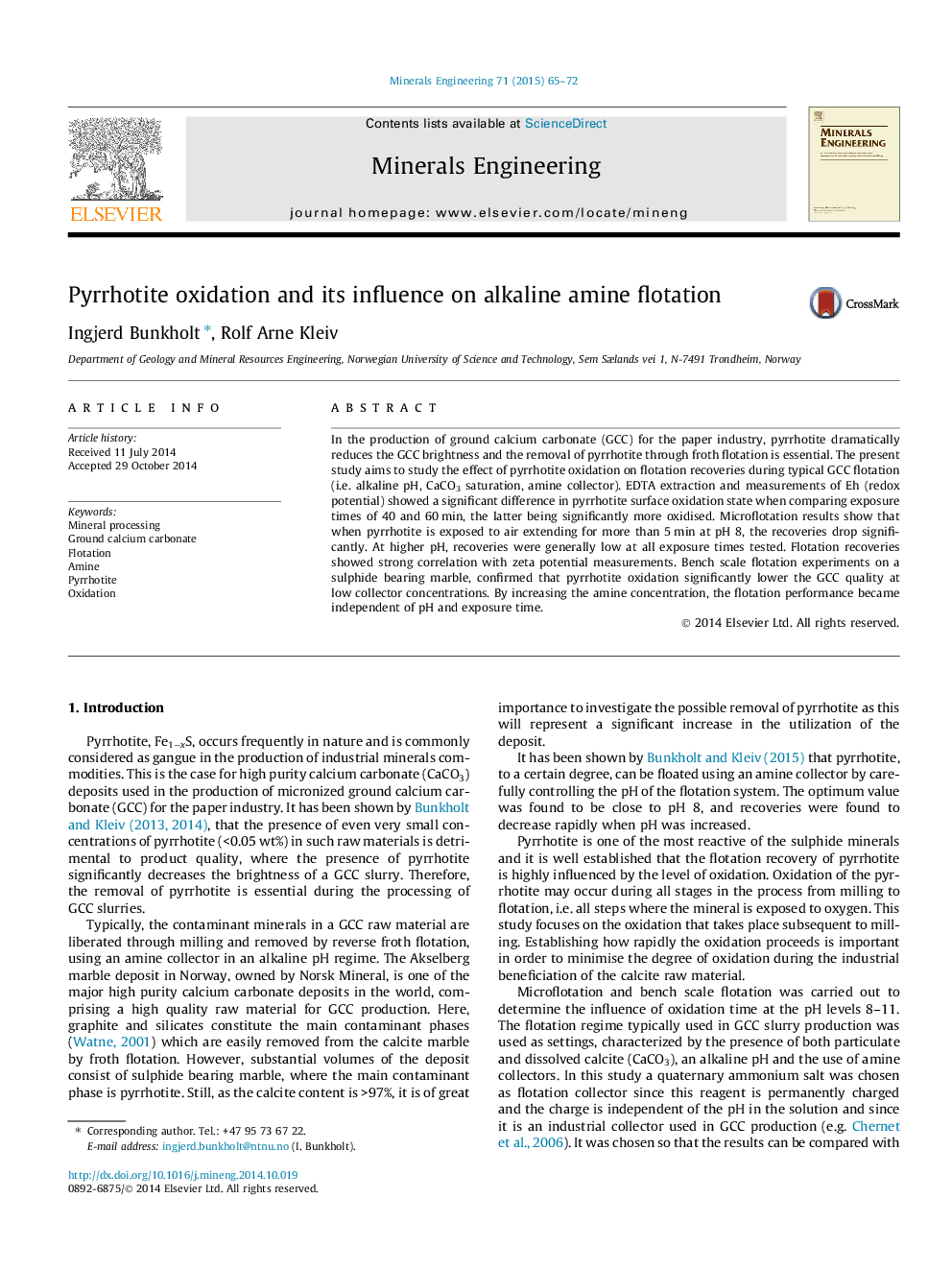 Pyrrhotite oxidation and its influence on alkaline amine flotation