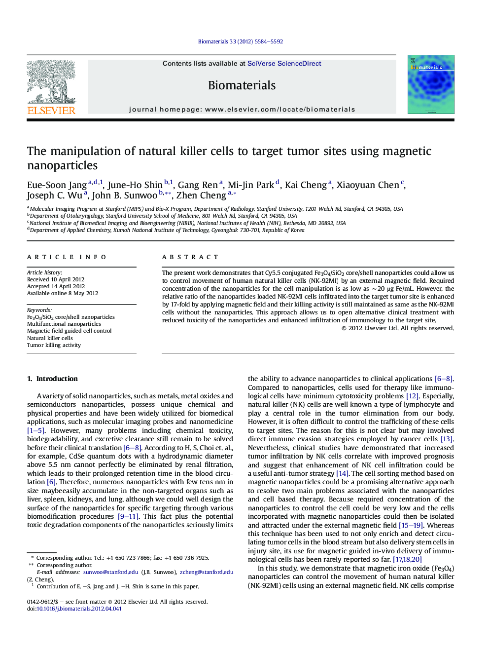 The manipulation of natural killer cells to target tumor sites using magnetic nanoparticles