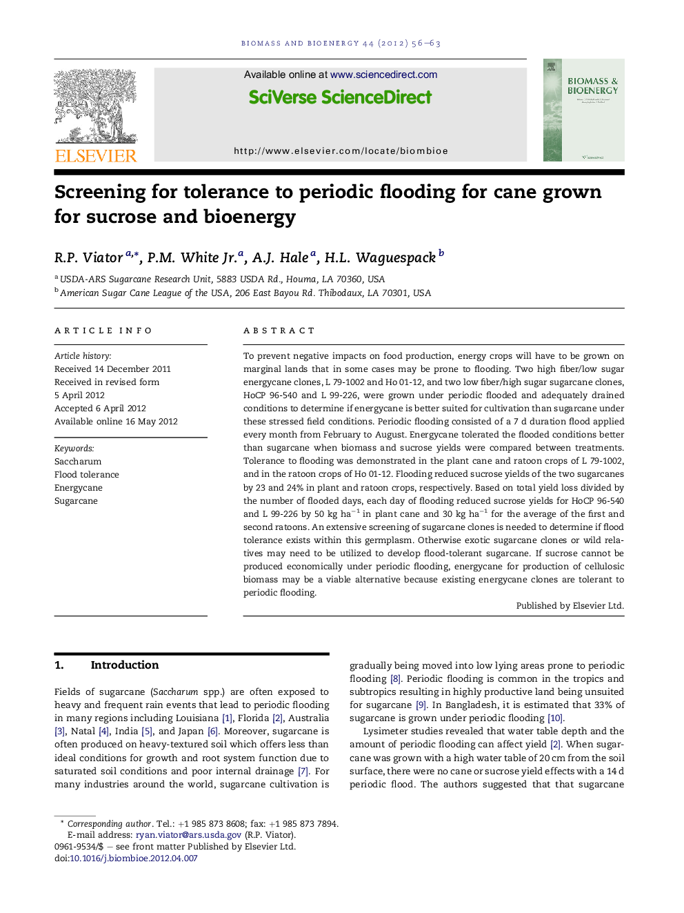 Screening for tolerance to periodic flooding for cane grown for sucrose and bioenergy