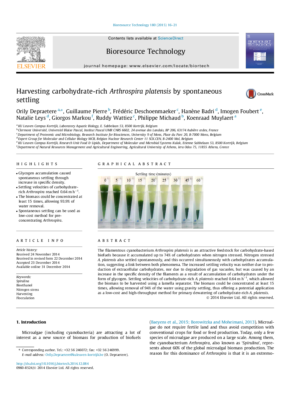 Harvesting carbohydrate-rich Arthrospira platensis by spontaneous settling