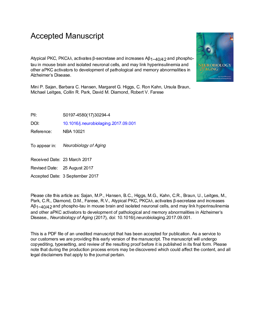 Atypical PKC, PKCÎ»/Î¹, activates Î²-secretase and increases AÎ²1-40/42 and phospho-tau in mouse brain and isolated neuronal cells, and may link hyperinsulinemia and other aPKC activators to development of pathological and memory abnormalities in Alzheime