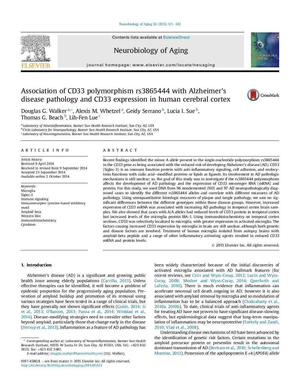 Association of CD33 polymorphism rs3865444 with Alzheimer's disease pathology and CD33 expression in human cerebral cortex