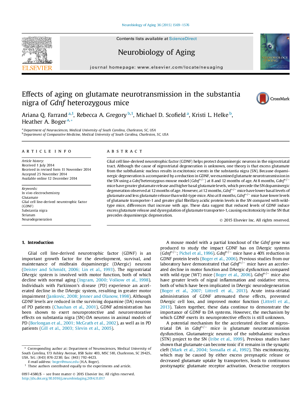 Effects of aging on glutamate neurotransmission in the substantia nigra of Gdnf heterozygous mice