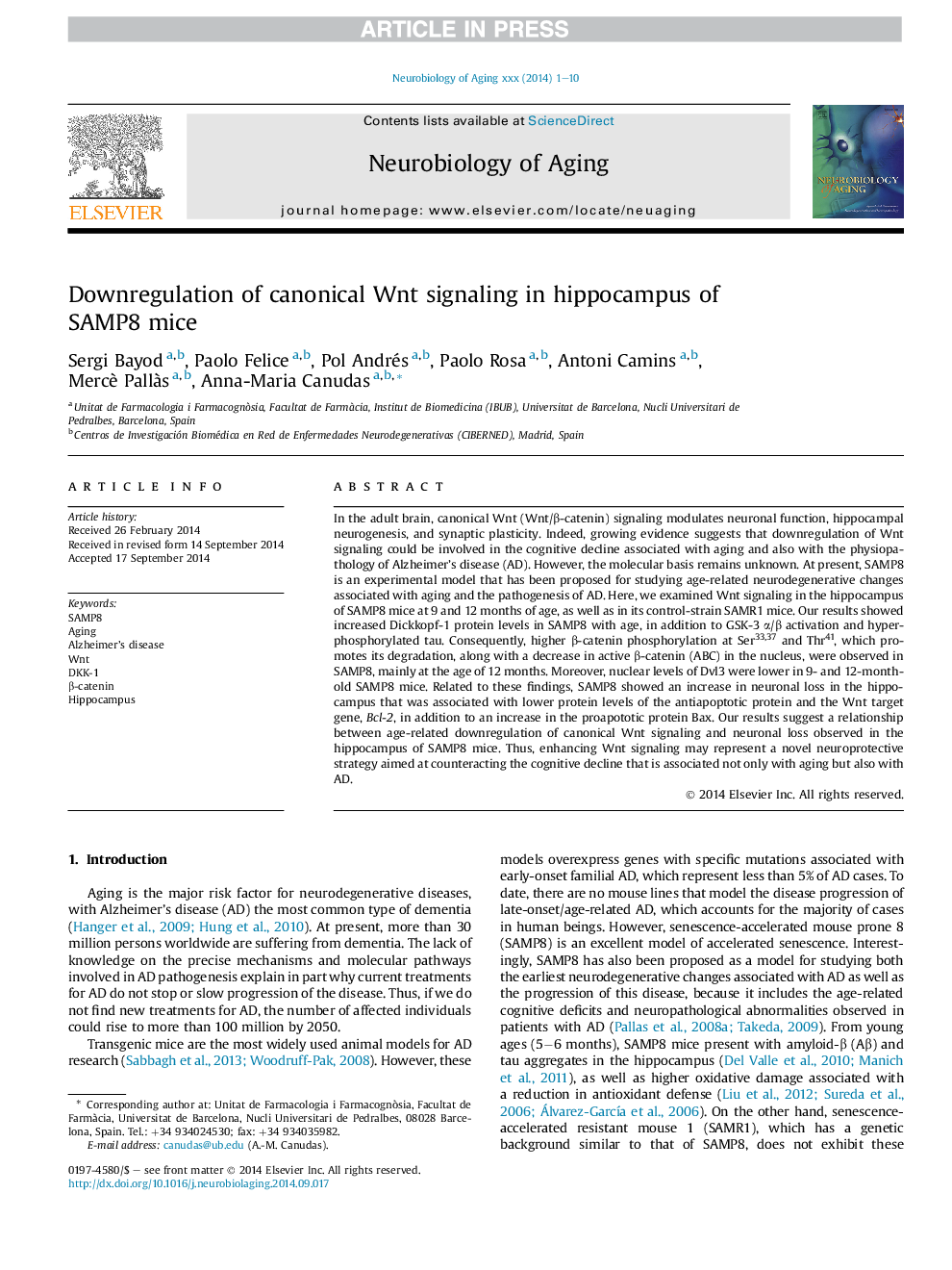 Downregulation of canonical Wnt signaling in hippocampus of SAMP8 mice