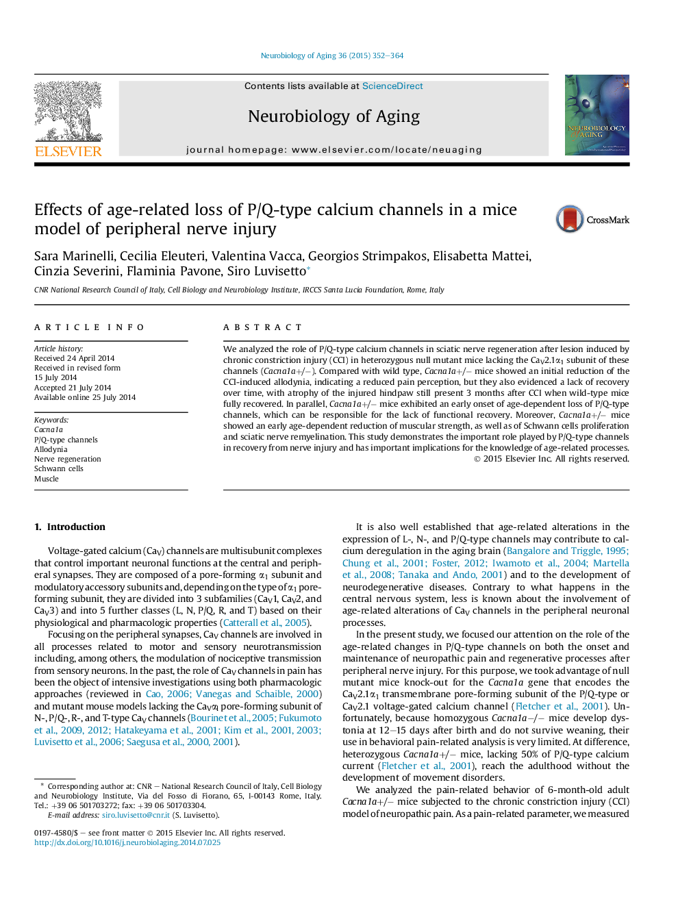 Effects of age-related loss of P/Q-type calcium channels in a mice model of peripheral nerve injury