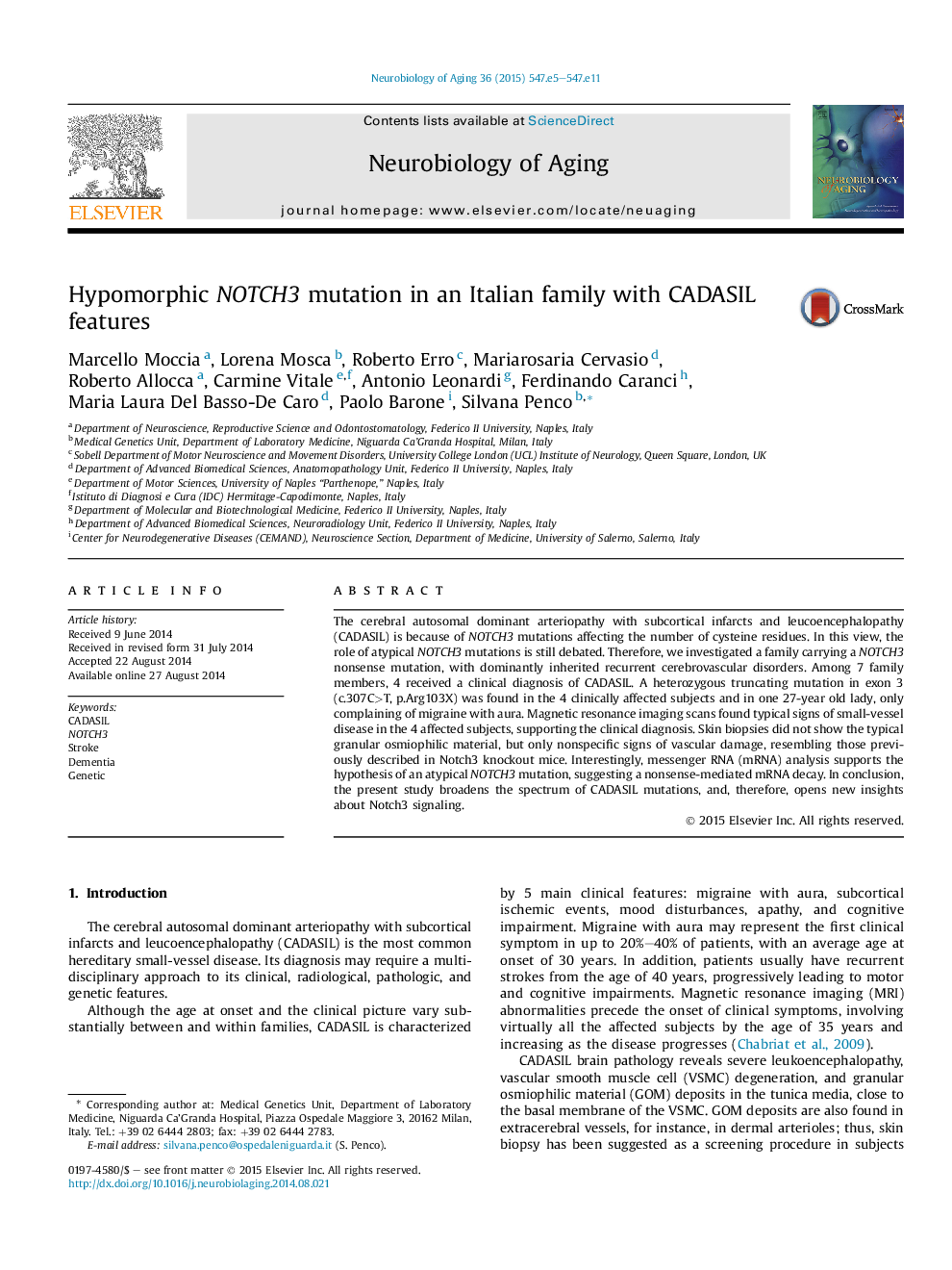 Hypomorphic NOTCH3 mutation in an Italian family with CADASIL features