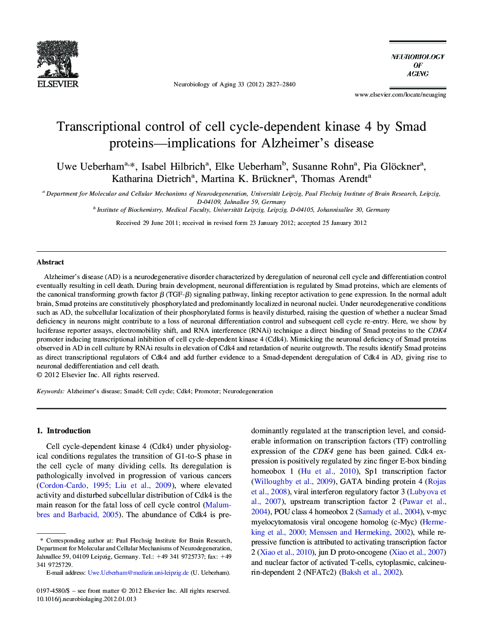 Transcriptional control of cell cycle-dependent kinase 4 by Smad proteins-implications for Alzheimer's disease