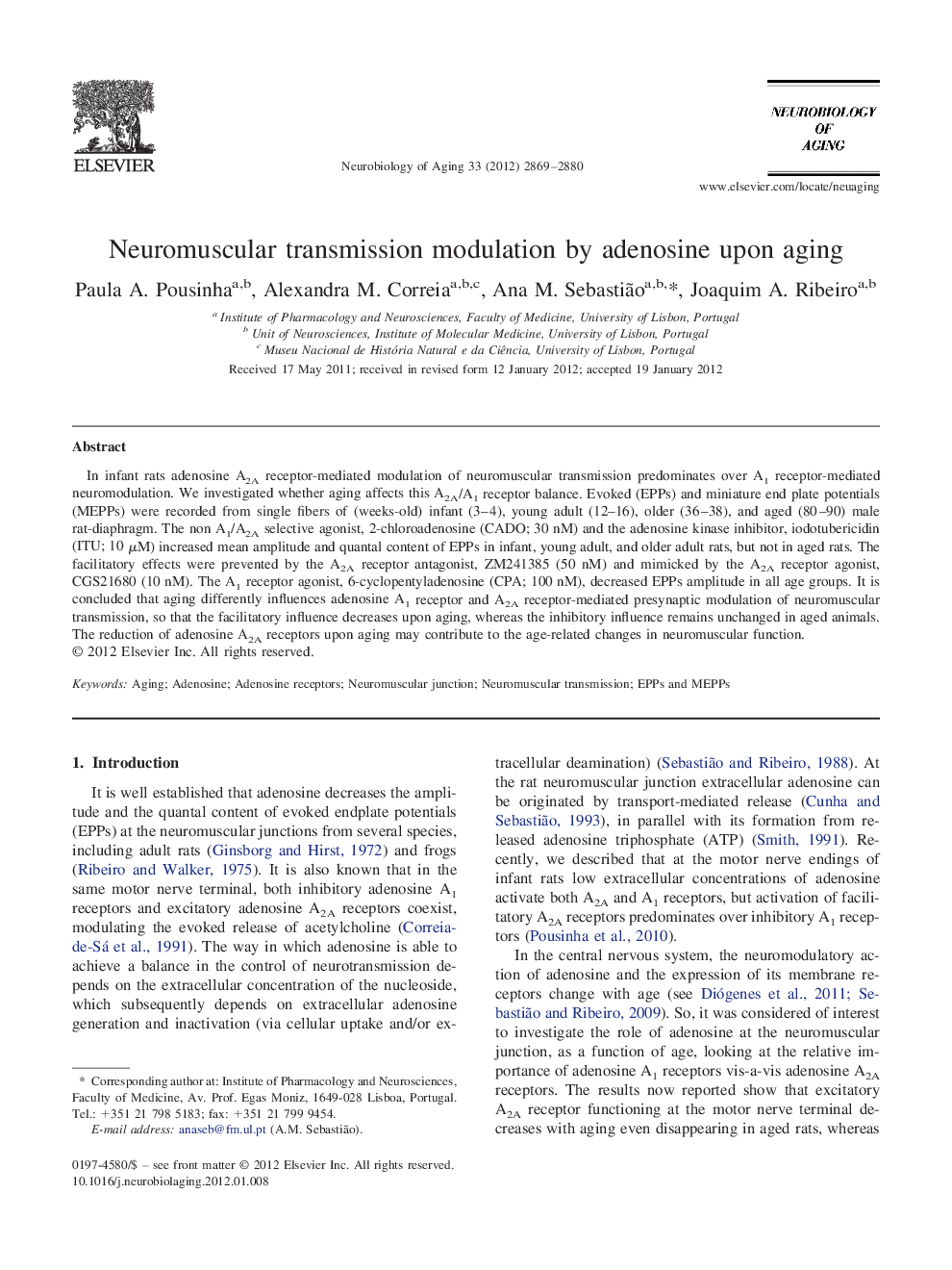 Neuromuscular transmission modulation by adenosine upon aging