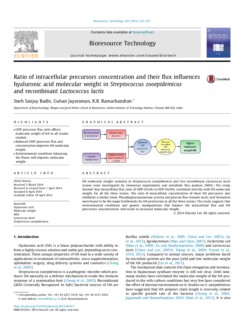 Ratio of intracellular precursors concentration and their flux influences hyaluronic acid molecular weight in Streptococcus zooepidemicus and recombinant Lactococcus lactis