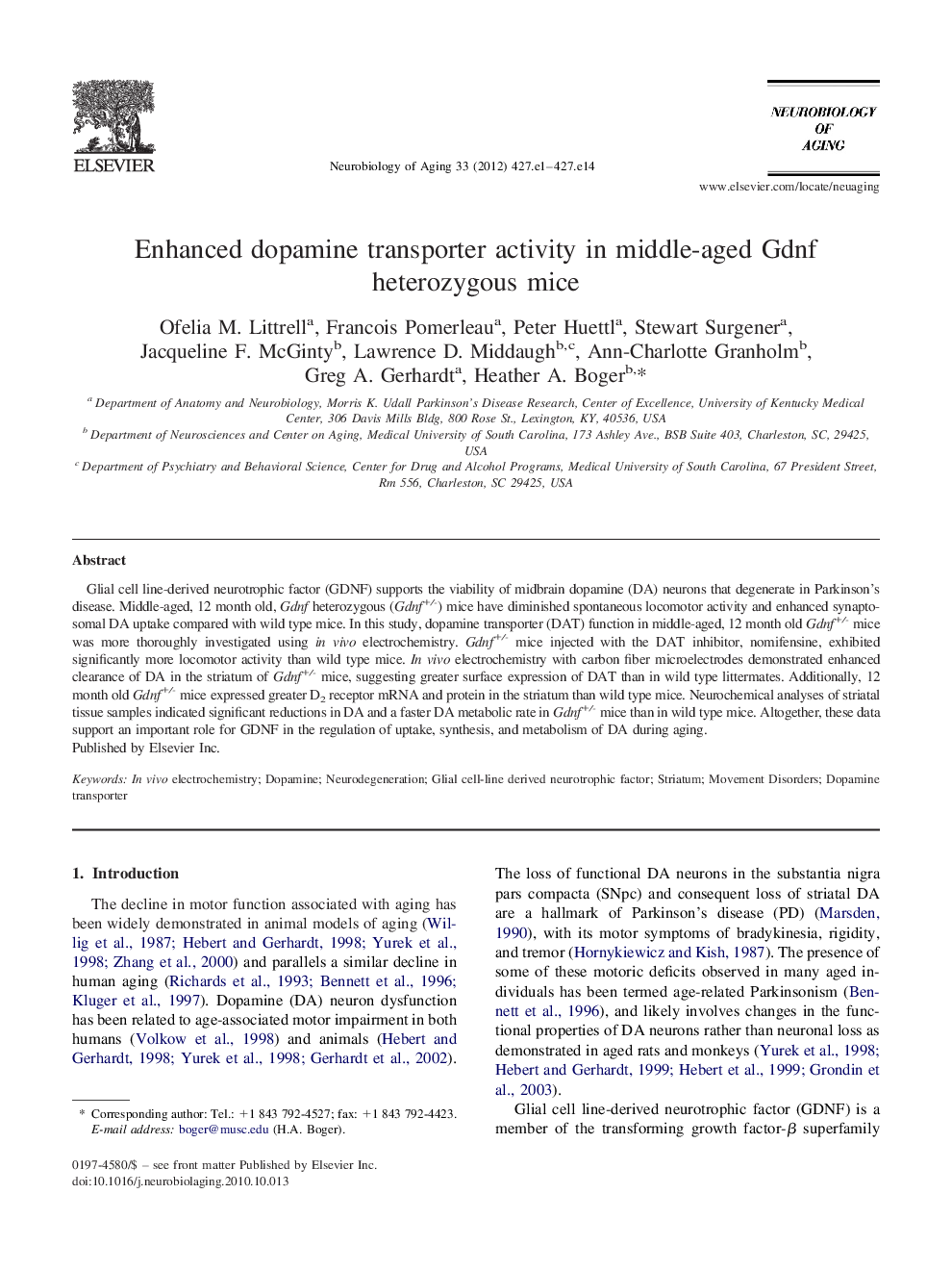 Enhanced dopamine transporter activity in middle-aged Gdnf heterozygous mice