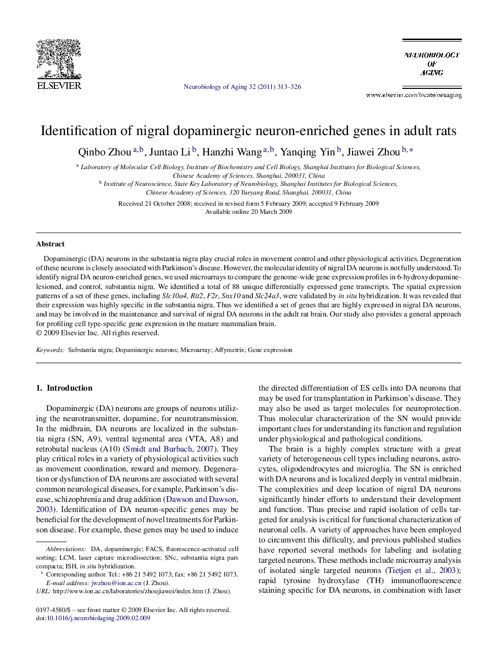 Identification of nigral dopaminergic neuron-enriched genes in adult rats