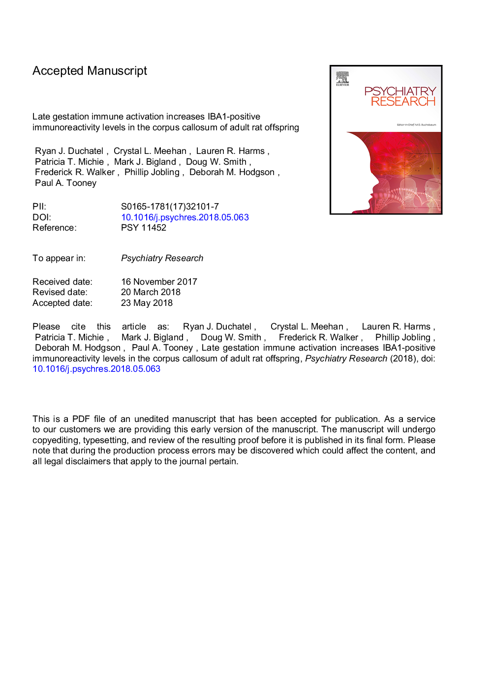 Late gestation immune activation increases IBA1-positive immunoreactivity levels in the corpus callosum of adult rat offspring