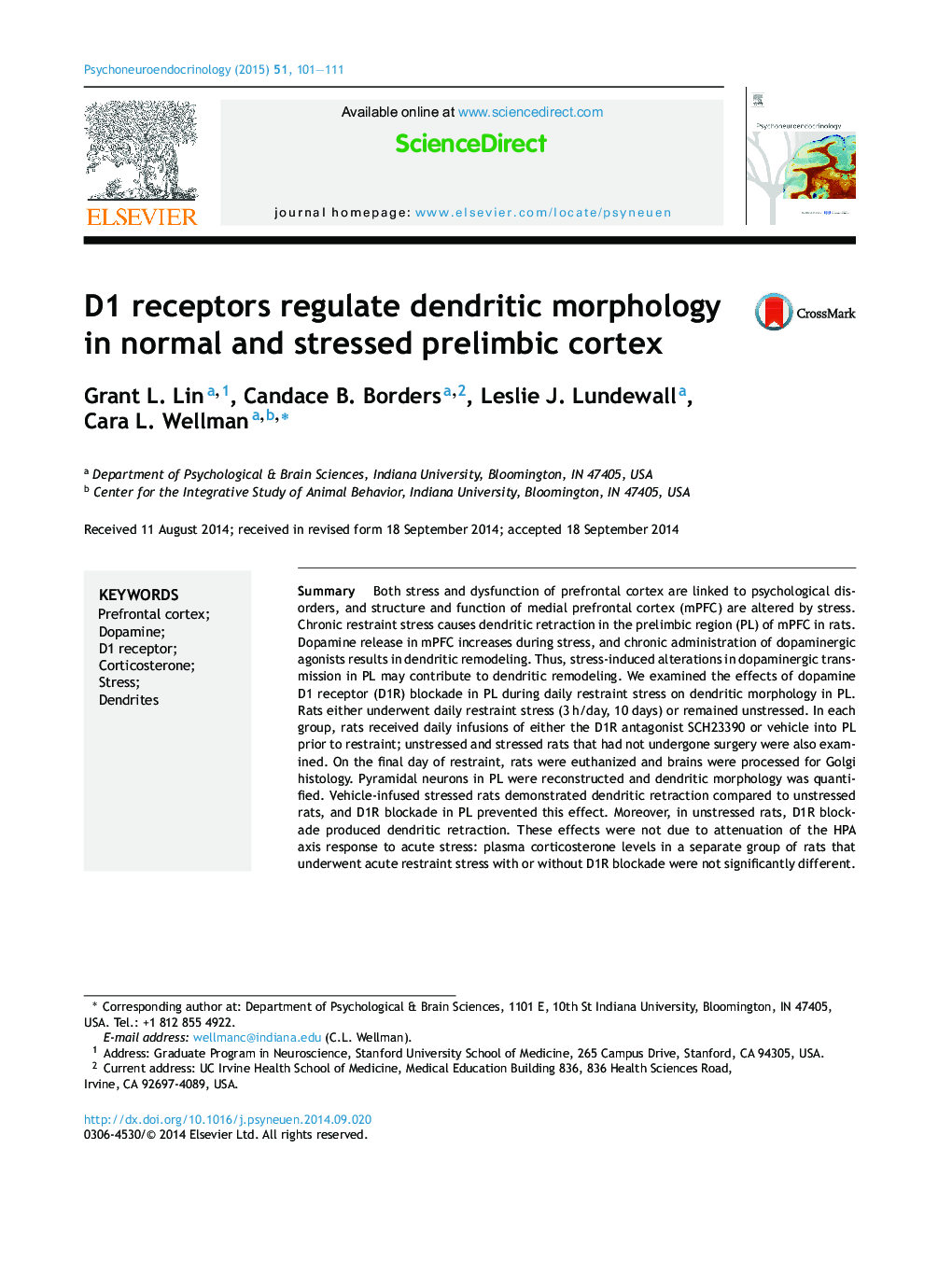 D1 receptors regulate dendritic morphology in normal and stressed prelimbic cortex