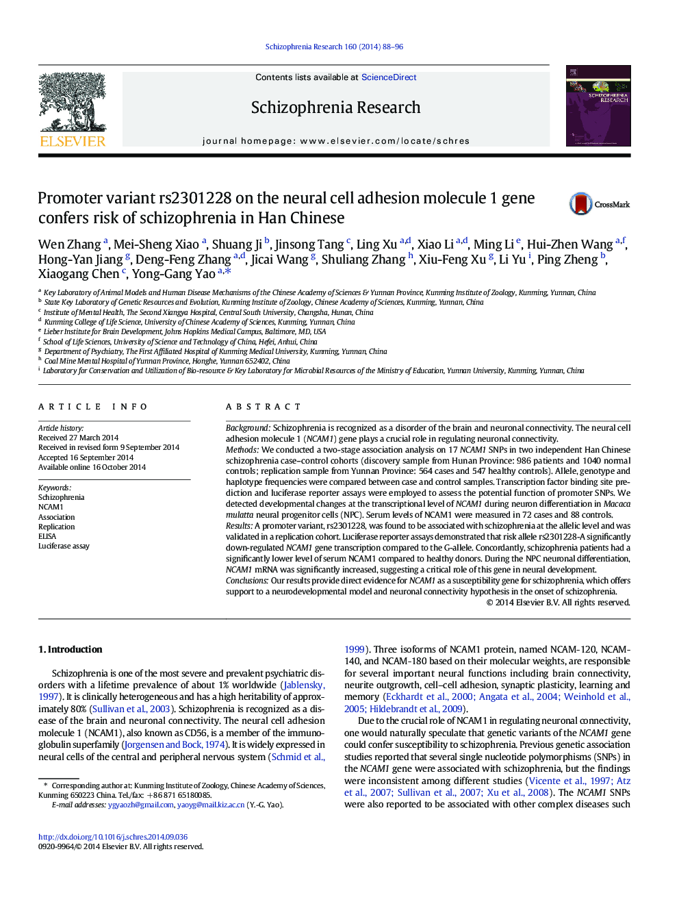 Promoter variant rs2301228 on the neural cell adhesion molecule 1 gene confers risk of schizophrenia in Han Chinese