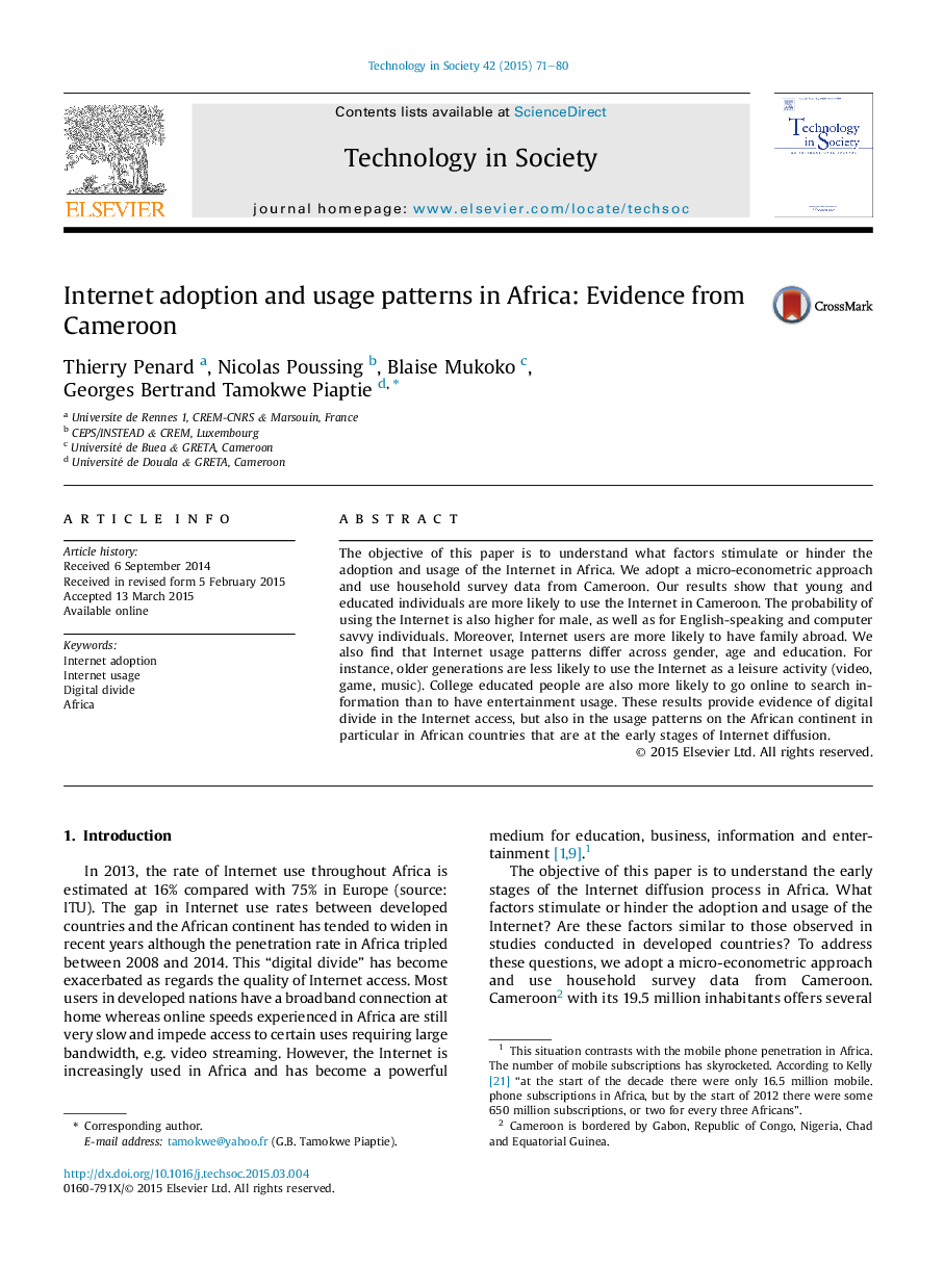 Internet adoption and usage patterns in Africa: Evidence from Cameroon