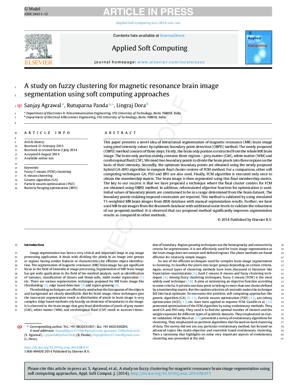 A study on fuzzy clustering for magnetic resonance brain image segmentation using soft computing approaches