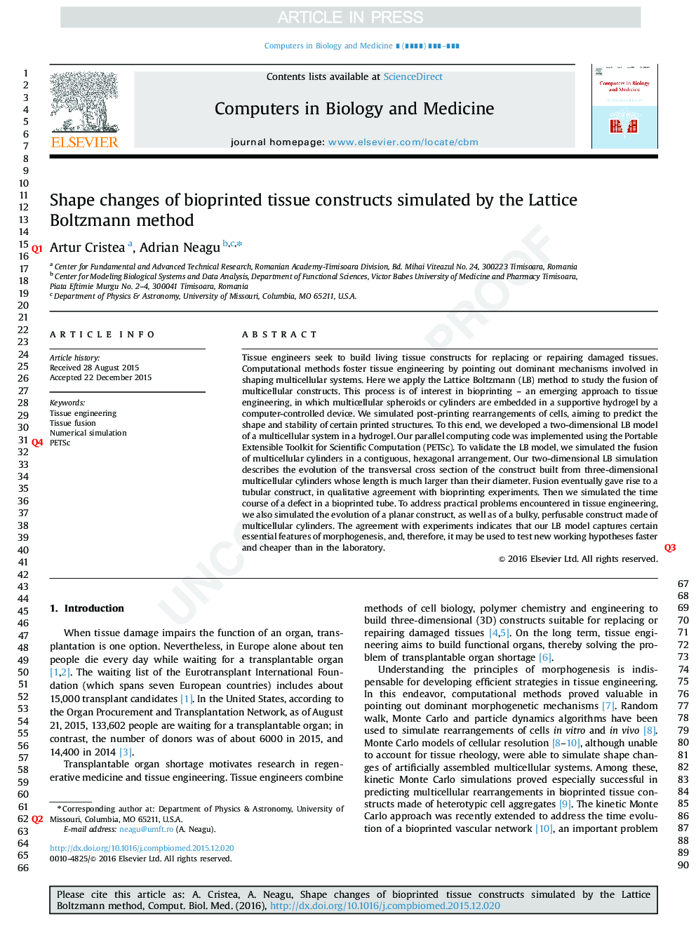 Shape changes of bioprinted tissue constructs simulated by the Lattice Boltzmann method