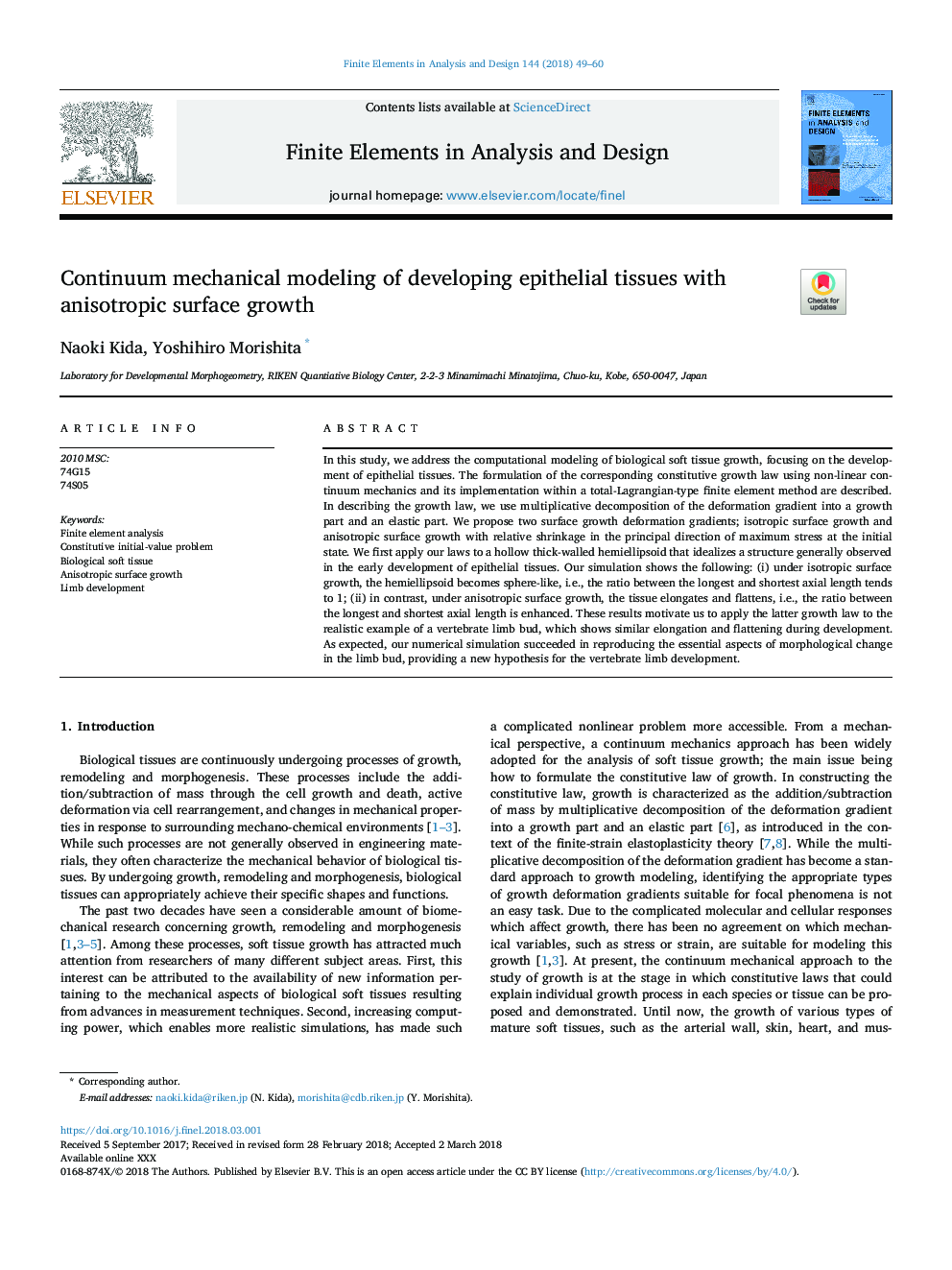 Continuum mechanical modeling of developing epithelial tissues with anisotropic surface growth