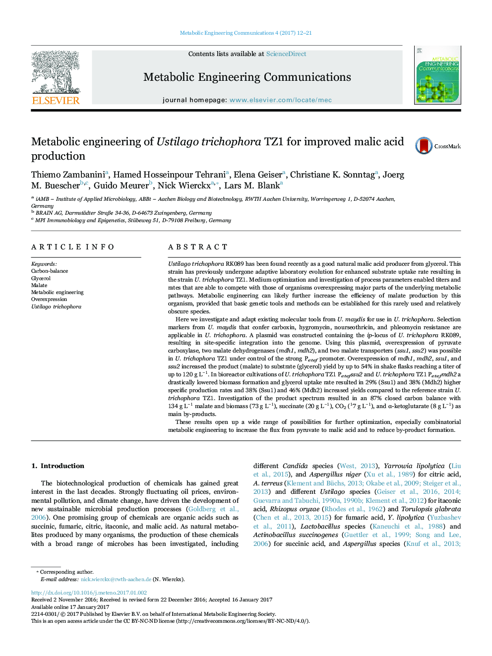 Metabolic engineering of Ustilago trichophora TZ1 for improved malic acid production