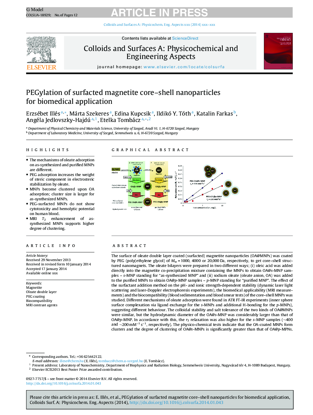 PEGylation of surfacted magnetite core-shell nanoparticles for biomedical application