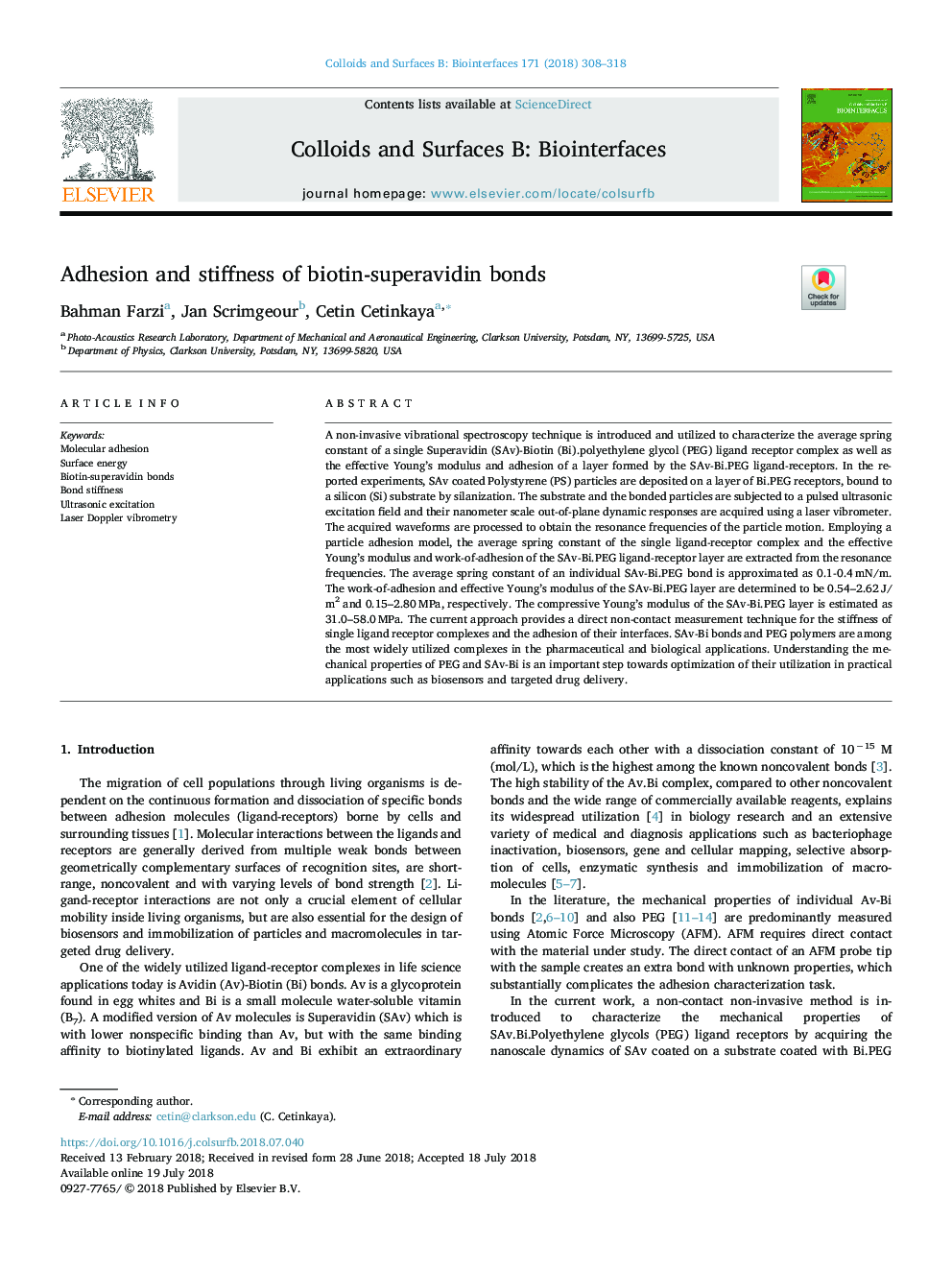 Adhesion and stiffness of biotin-superavidin bonds