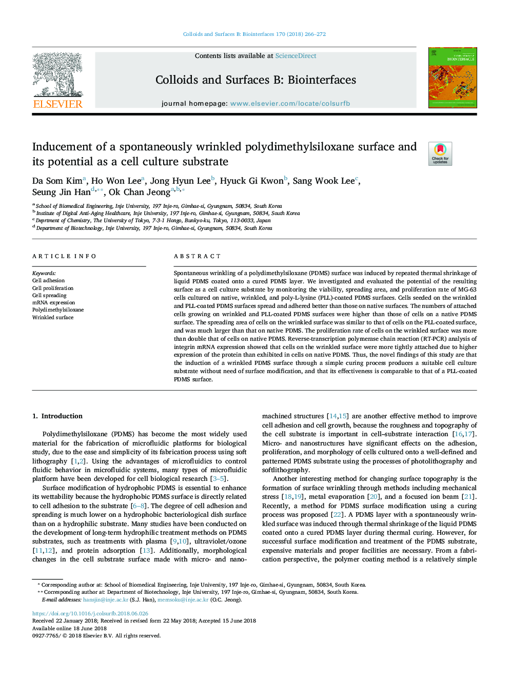 Inducement of a spontaneously wrinkled polydimethylsiloxane surface and its potential as a cell culture substrate