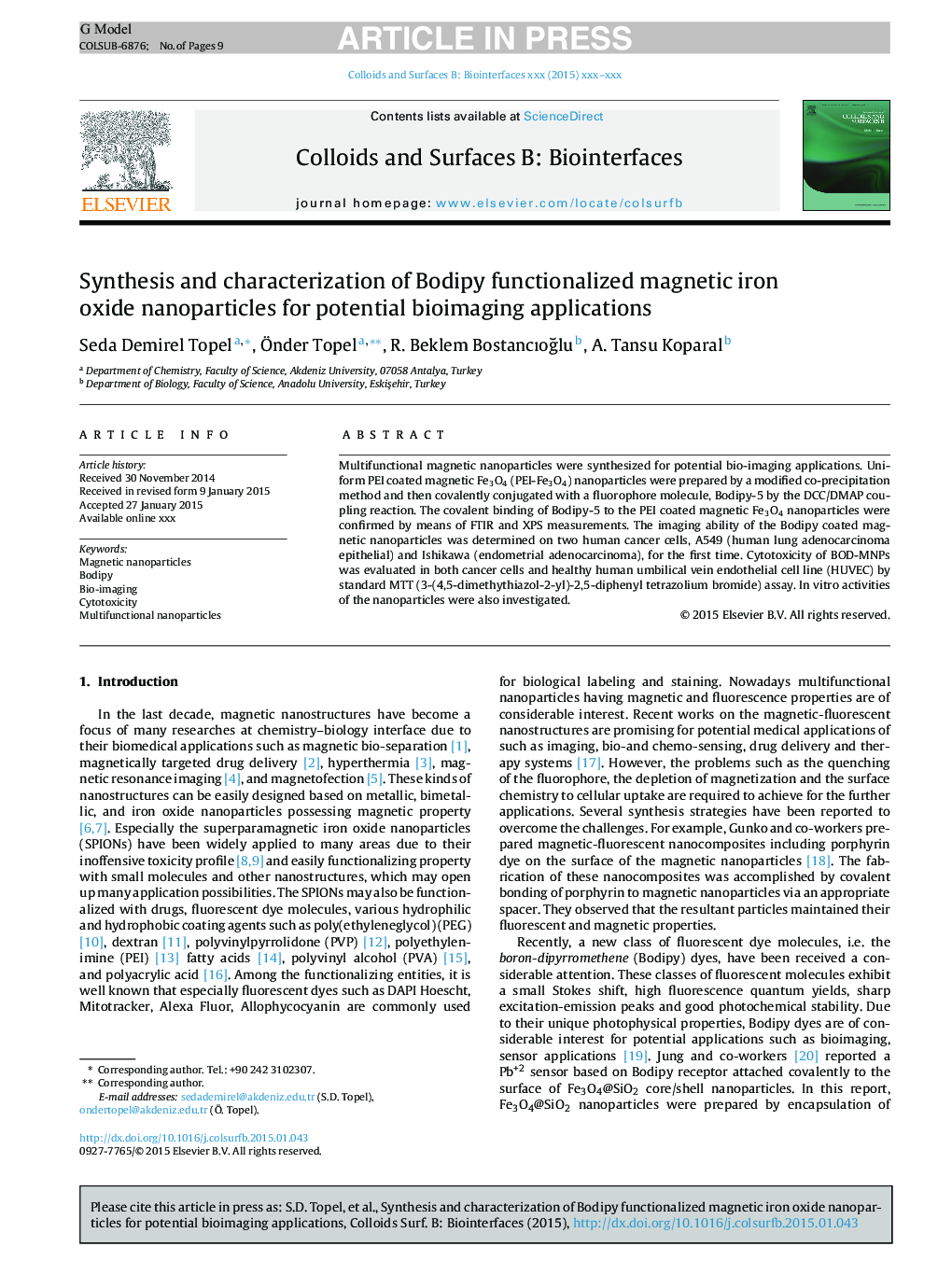 Synthesis and characterization of Bodipy functionalized magnetic iron oxide nanoparticles for potential bioimaging applications