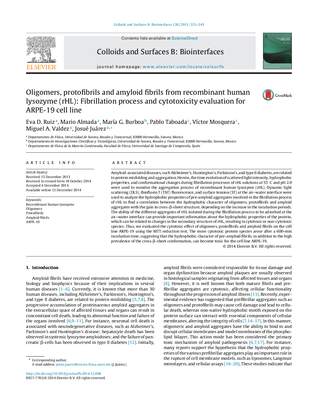 Oligomers, protofibrils and amyloid fibrils from recombinant human lysozyme (rHL): Fibrillation process and cytotoxicity evaluation for ARPE-19 cell line