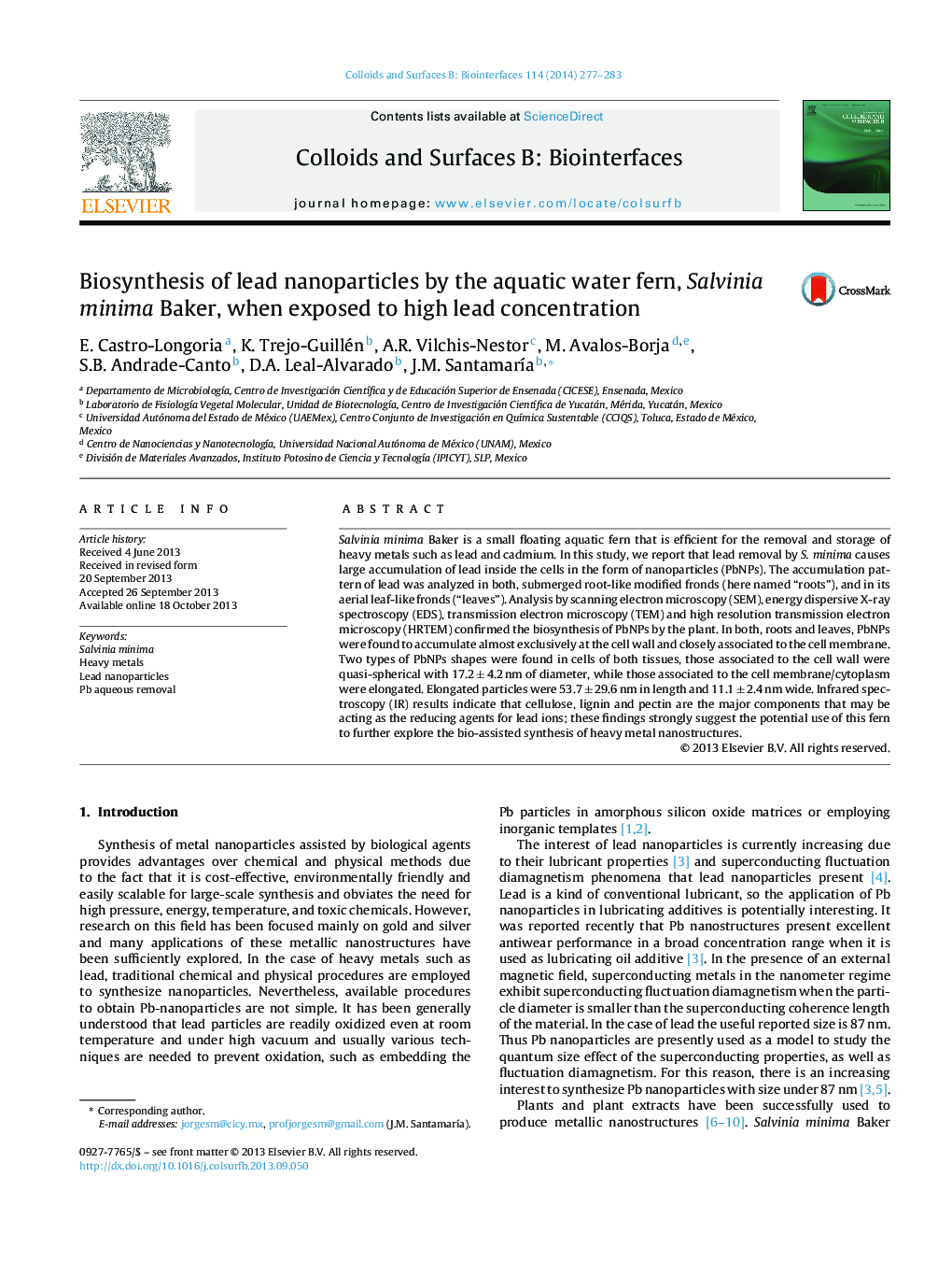 Biosynthesis of lead nanoparticles by the aquatic water fern, Salvinia minima Baker, when exposed to high lead concentration