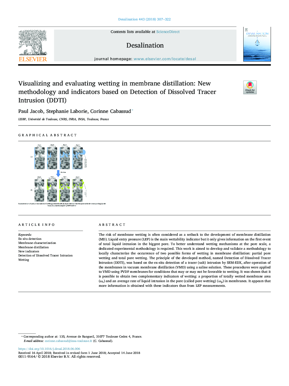 Visualizing and evaluating wetting in membrane distillation: New methodology and indicators based on Detection of Dissolved Tracer Intrusion (DDTI)